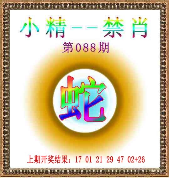 088期小精禁肖[图]